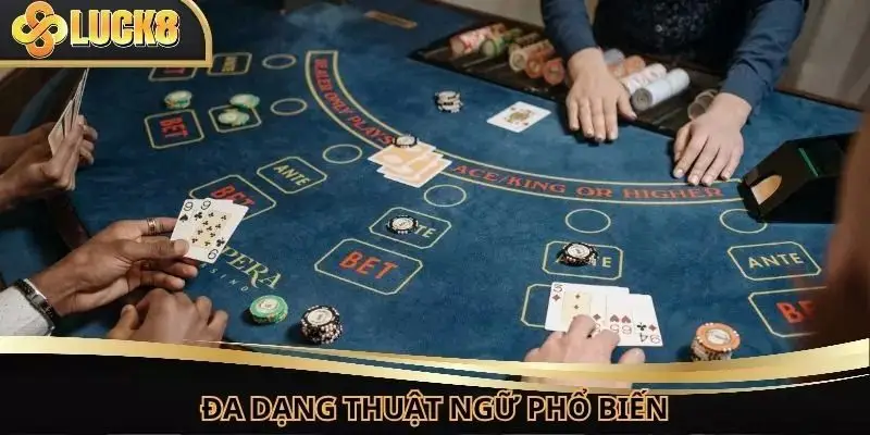 Đa dạng thuật ngữ phổ biến được sử dụng